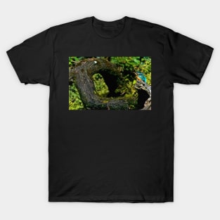 LIVING THE LATRINE LIFE ! T-Shirt